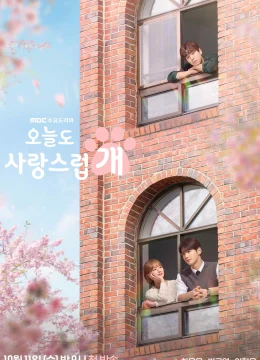 Xem Phim Ngày Tuyệt Vời Để Trở Thành Cún Vietsub HD Online