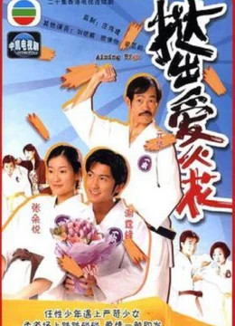 Nhu Đạo Tiểu Tử