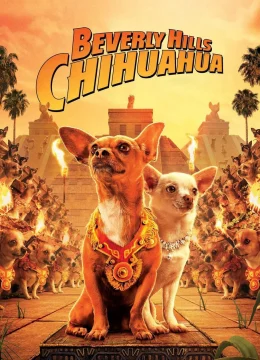 Những Chú Chó Chihuahua