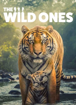 Xem Phim Những Sinh Vật Hoang Dã Vietsub HD Online