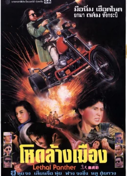 Nữ Sát Thủ Xinh Đẹp