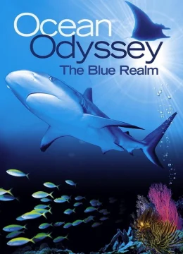 Xem Phim Ocean Odyssey: The Blue Realm Vietsub HD Online