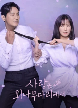 Xem Phim Phải Lòng Oan Gia Vietsub HD Online