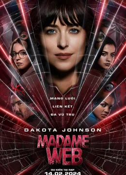 Quý Cô Mạng Nhện