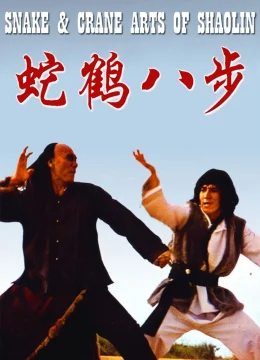 Xem Phim Quyền Tinh Vietsub HD Online