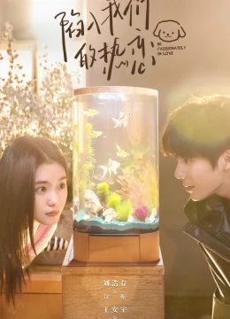 Xem Phim Sa Vào Tình Yêu Cuồng Nhiệt Của Chúng Ta Vietsub HD Online