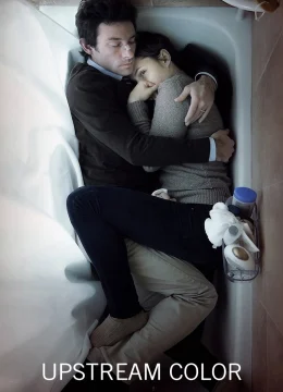 Sắc Màu Ngược Dòng