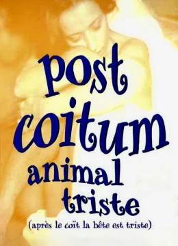 Sau Đêm Nồng Cháy