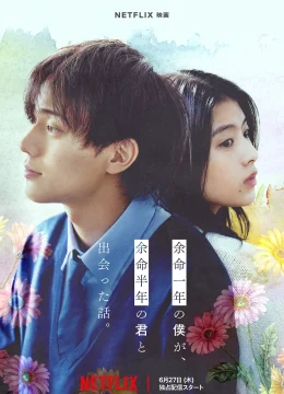 Xem Phim Sáu Tháng Và Một Năm Vietsub HD Online