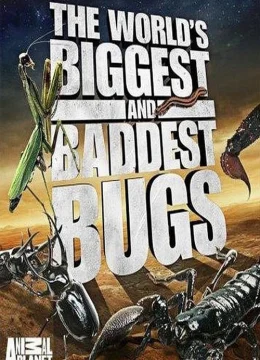 Xem Phim Thế Giới Côn Trùng Khổng Lồ và Nguy Hiểm Vietsub HD Online