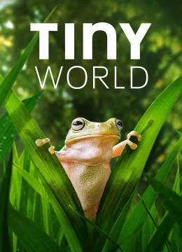 Xem Phim Thế Giới Siêu Nhỏ (Phần 2) Vietsub HD Online