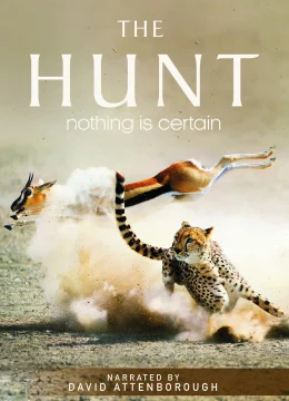 Xem Phim The Hunt Vietsub HD Online