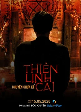 Thiên Linh Cái: Chuyện Chưa Kể