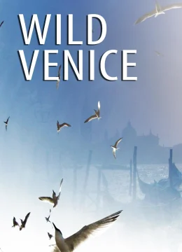 Xem Phim Thiên Nhiên Hoang Dã Venice Vietsub HD Online