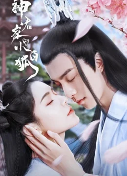 Tiểu Bạch Hồ Truy Phu