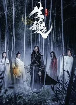 Trần Tình Lệnh Chi Sinh Hồn