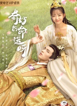 Xem Phim Vận Mệnh Kỳ Diệu Vietsub HD Online