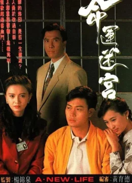 Vận Mệnh Mê Cung