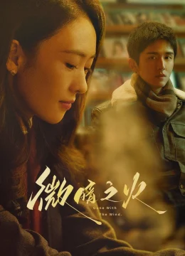 Xem Phim Vi Ám Chi Hoả Vietsub HD Online