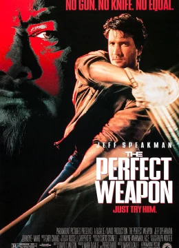 Vũ Khí Hoàn Hảo