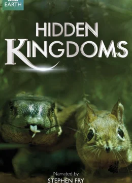 Xem Phim Vương Quốc Bí Ẩn Vietsub HD Online