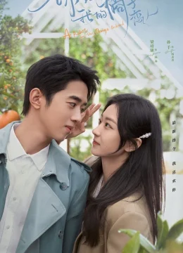 Xin Chào Người Tình Trái Quýt