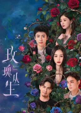 Xem Phim Bụi Hoa Hồng Vietsub HD Online