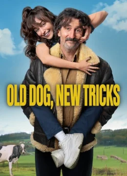 Chó già, trò mới