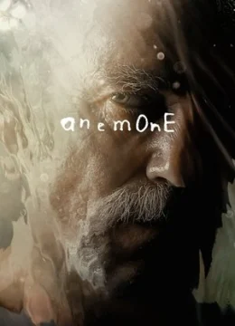 Xem Phim Hải Quỳ Nở Hoa Vietsub HD Online