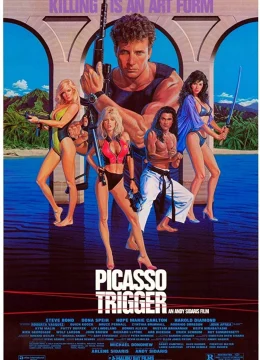 Kích hoạt Picasso