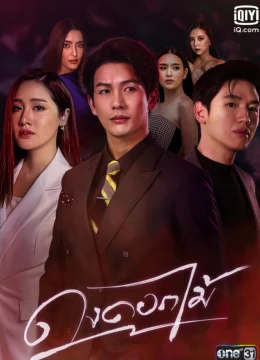 Rừng Hoa Rực Lửa