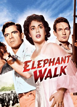 Xem Phim Voi đi bộ Vietsub HD Online