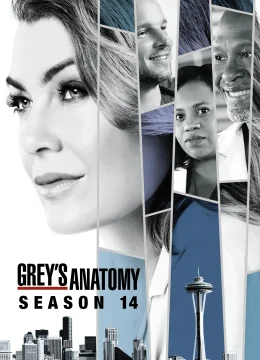 Xem Phim Ca Phẫu Thuật Của Grey (Phần 14) Vietsub HD Online