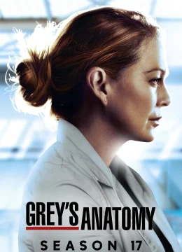 Xem Phim Ca Phẫu Thuật Của Grey (Phần 17) Vietsub HD Online