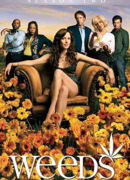 Xem Phim Cần Sa (Phần 2) Vietsub HD Online