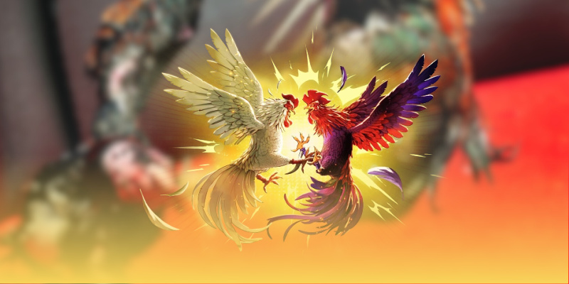 Tổng quan về đá gà Tonhon trực tuyến