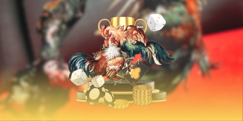 Kinh nghiệm nâng cao hiệu quả trong loại hình này