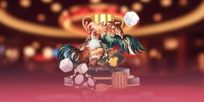 Biết cách phân tích thẩm định chiến kê khi theo dõi trận đá gà