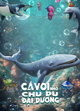 Cá Voi Nhỏ Chu Du Đại Dương